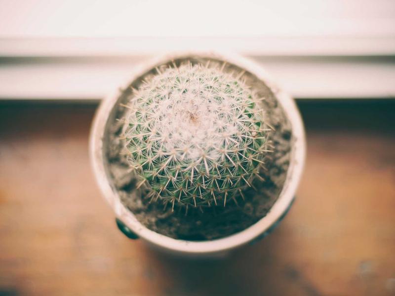 How to Style Chanel Summer 2026 Collection Like a Fashion Editor