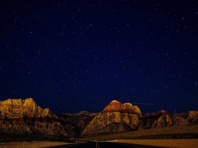 Gucci Marmont Review: Investment Pieces Worth Buying