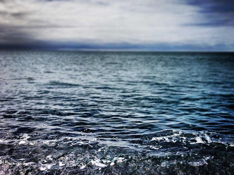 Gucci Summer 2026 Collection: From Runway to Street Style