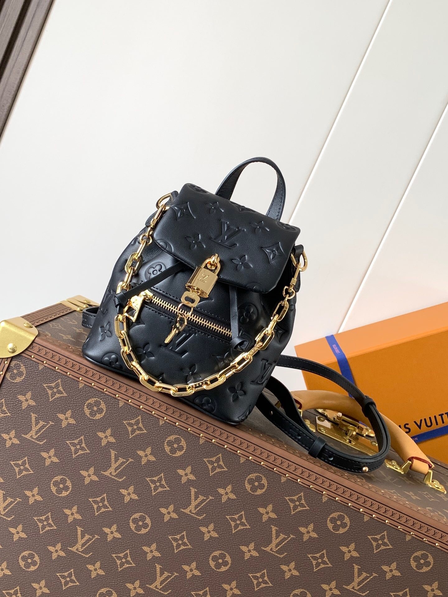 LV 13387 | Louis Vuitton Luxury Handbag Spotlight