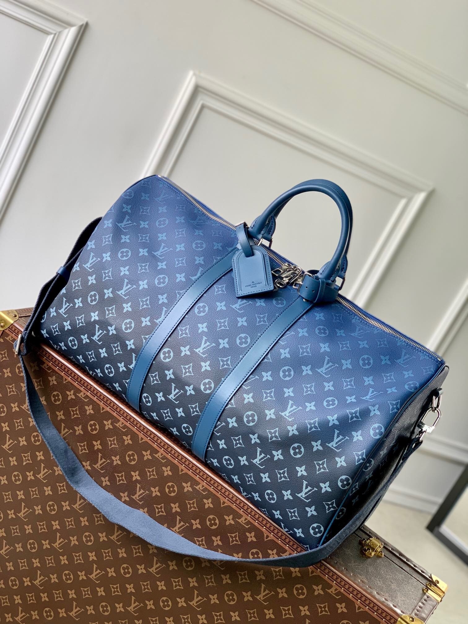 LV M11558 | Louis Vuitton Luxury Handbag Spotlight