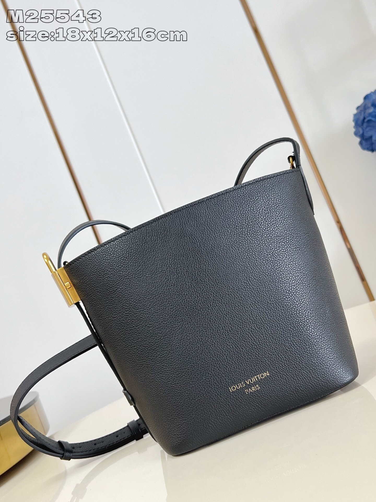 LV M25543 02 – Louis Vuitton Designer Bag Review & Style Guide