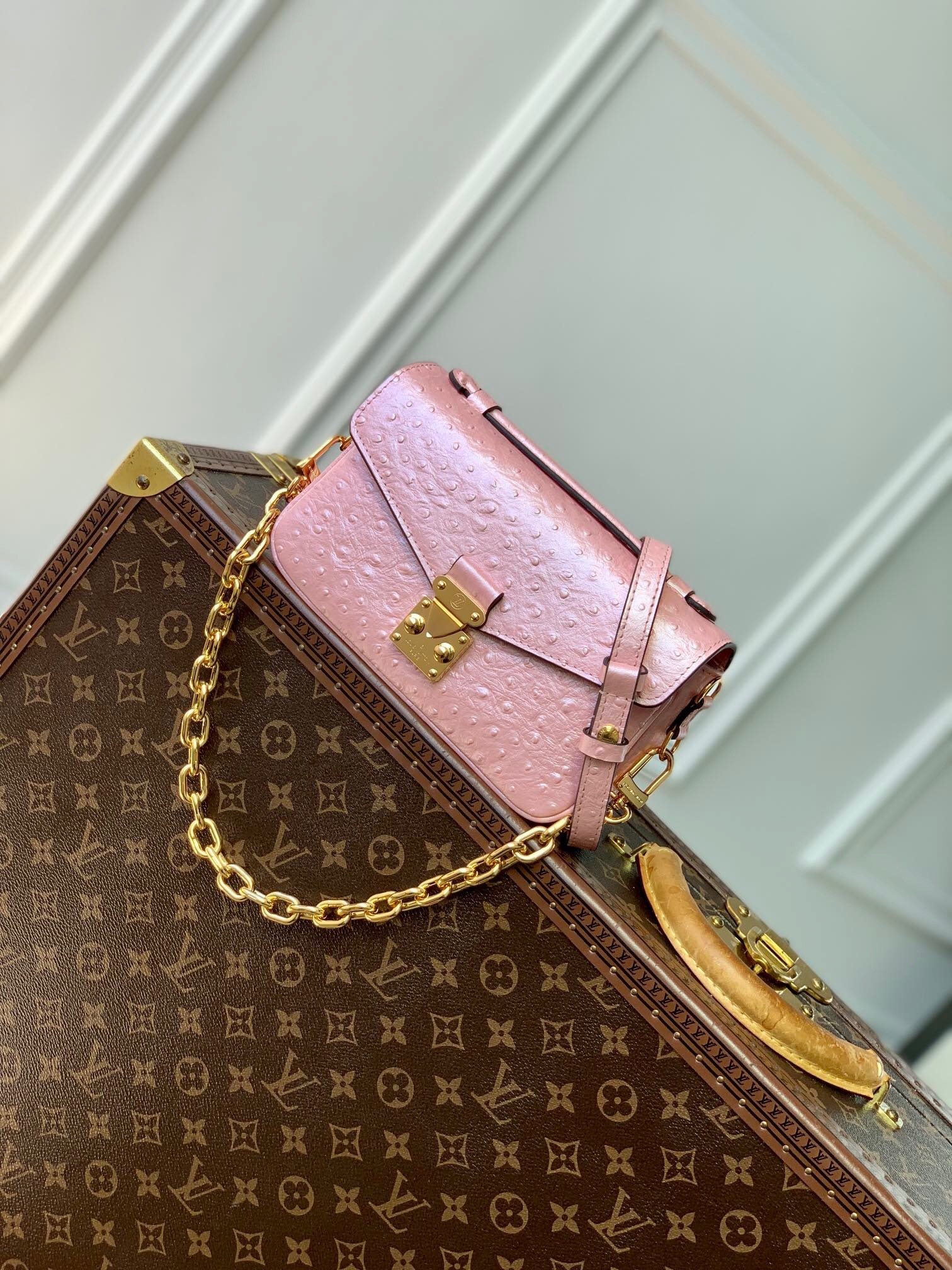 LV N85902 01 – Louis Vuitton Designer Bag Review & Style Guide
