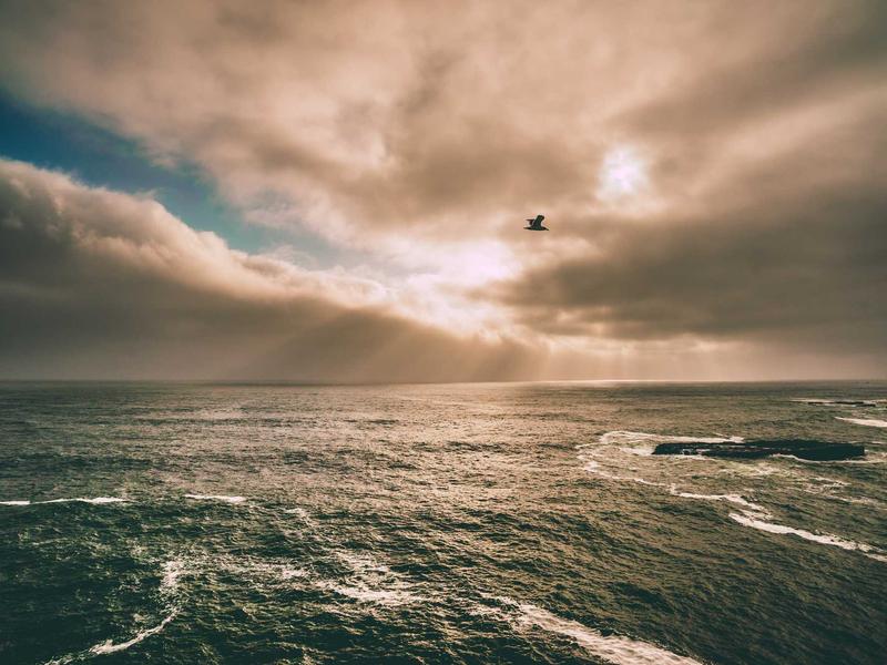 Louis Vuitton Speedy Review: From Runway to Street Style