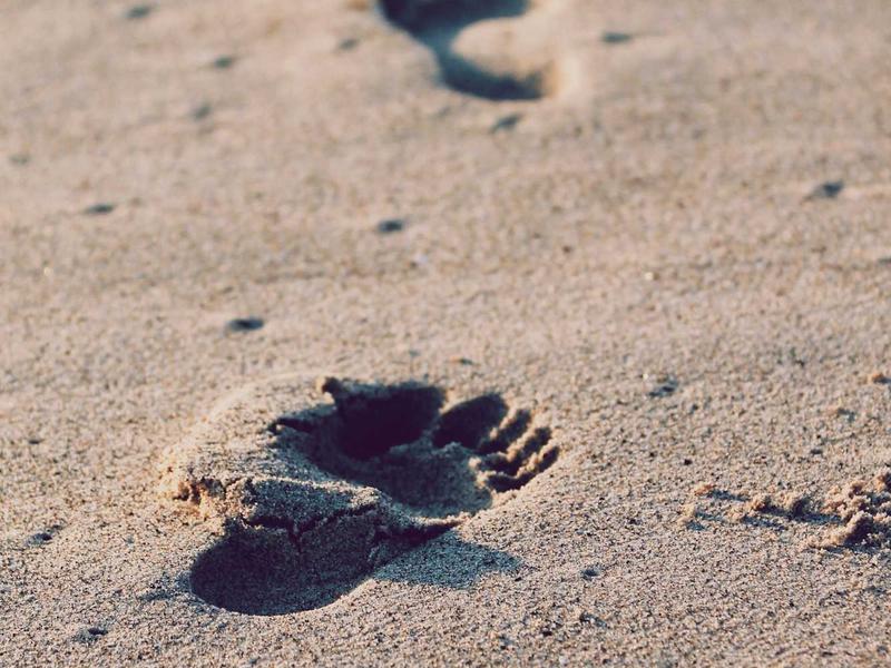 Everything You Need to Know About Black Clutch Style Guide