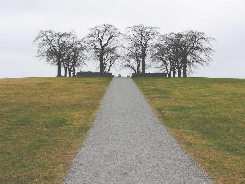 The Rise of Bucket Bag Revival: A Fashion Deep Dive