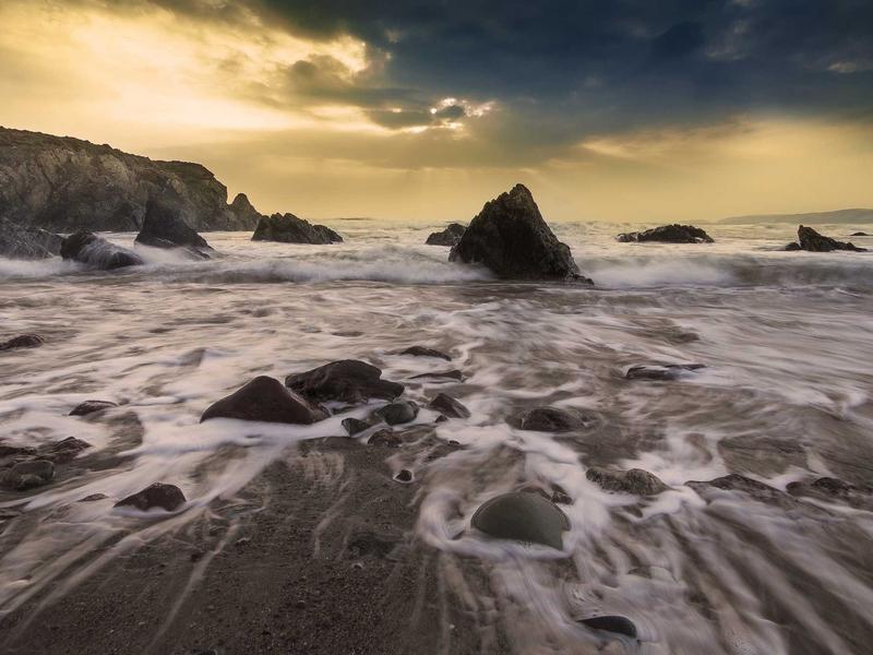 Inside the Crocodile Embossed Trend Trend That’s Everywhere