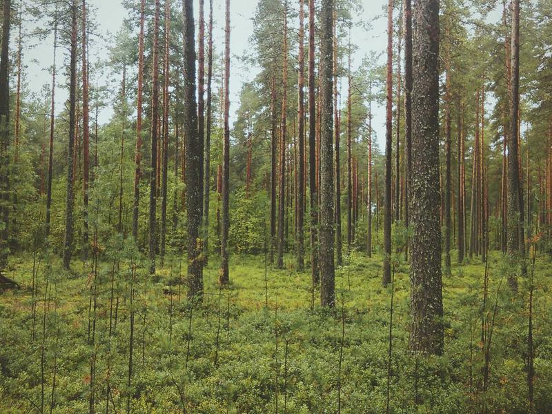 Everything You Need to Know About Weekend Getaway Bags